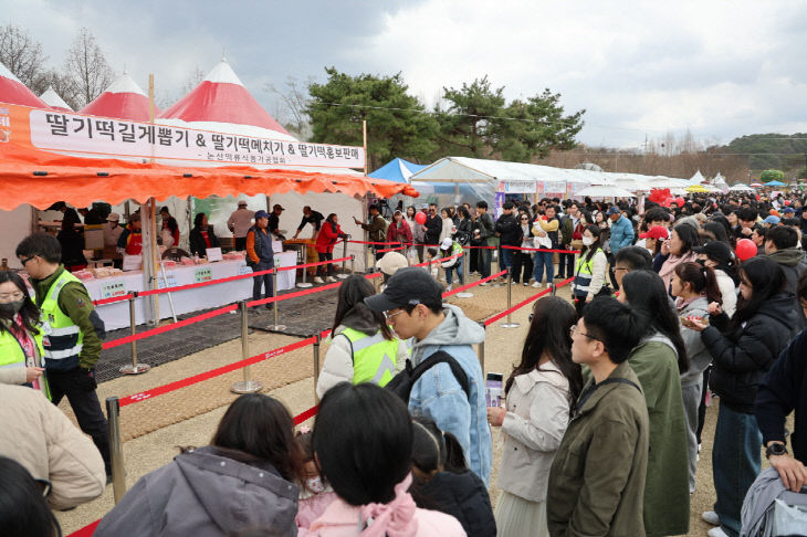 2025년 딸기축제 (10)