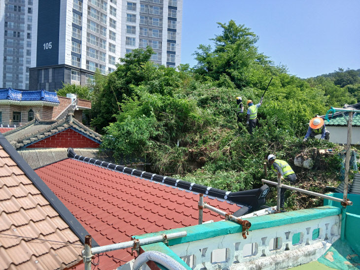 도시림 체계적 관리를 위한 녹지(수목)정비단 운영