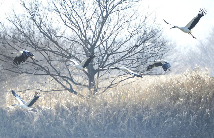 770057487187.-1927580446_127196215181372