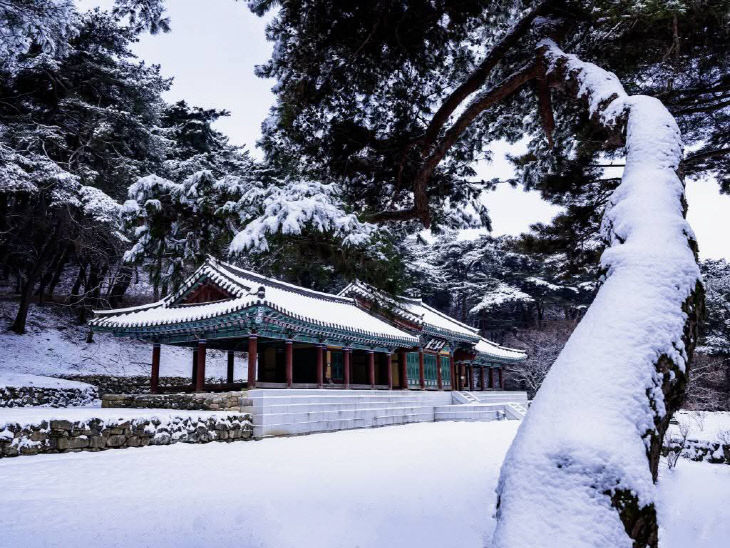 FB_IMG_1770109848935_184520664350911