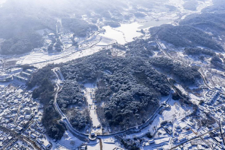 FB_IMG_1770109825379_184491671290766