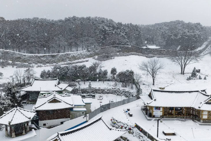 FB_IMG_1770109828806_184506906818573