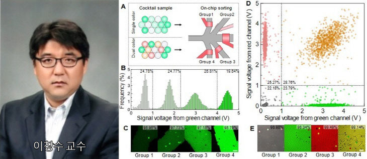 이창수_교수_증명사진_및_연구_피규어