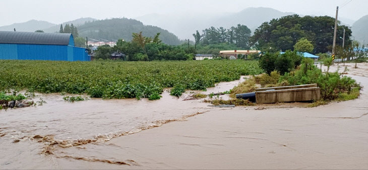 2 장흥지구 침수사진 (2)