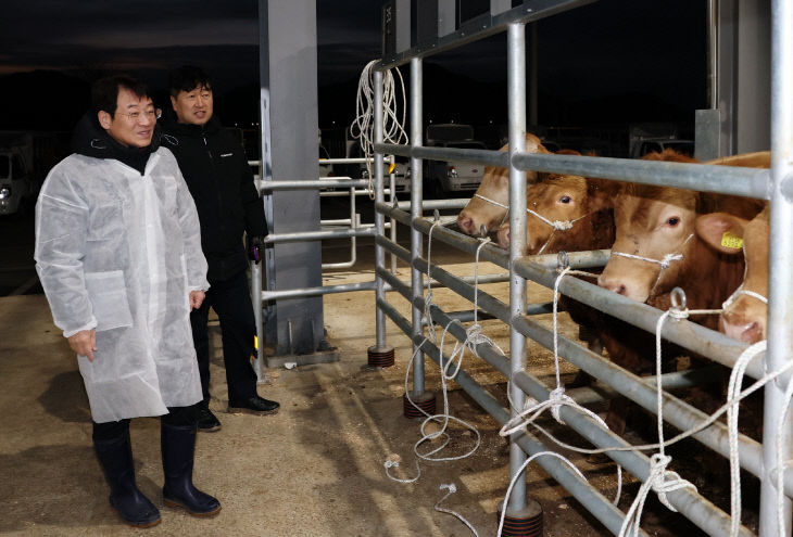 1- 우시장 방문 (2)