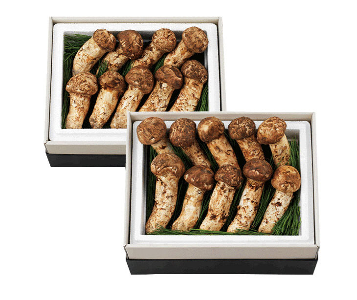 사진2. 자연송이버섯 세트 진(시세가)