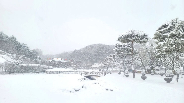 FB_IMG_1770520190341_377419512486909