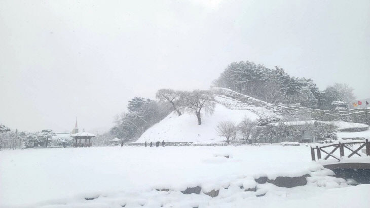 FB_IMG_1770520172017_377470606726317