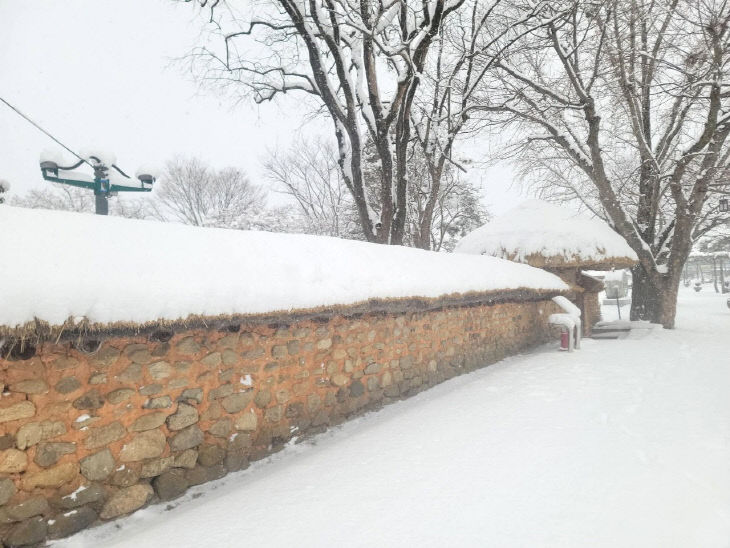 FB_IMG_1770520186872_377432918807060