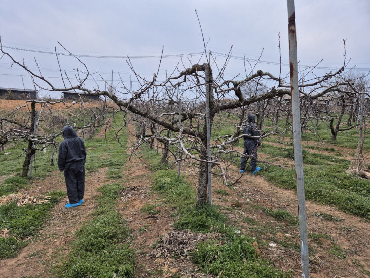 사본 - (사진2)과원 사전제거 예찰1