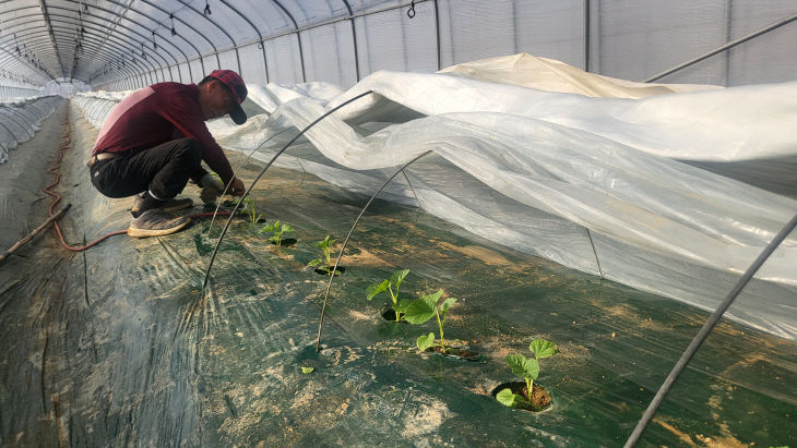 기술보급과(하늘그린 멜론 첫 정식)