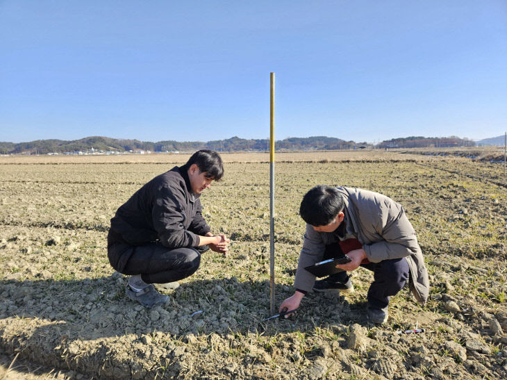 서천군농업기술센터 직원들이 보리 생육상태를 점검하고 있다
