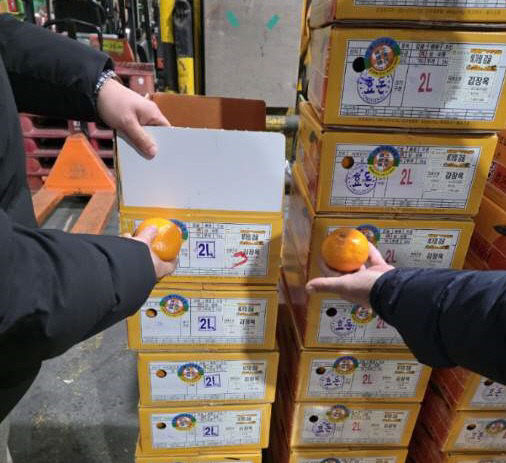 1770600673022_d44c7e67d8be4170b158d5d1c9484c16