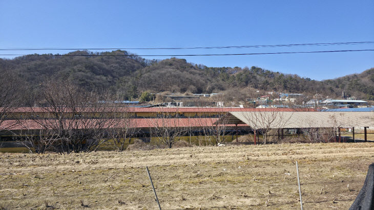 KakaoTalk_20260211_170927787