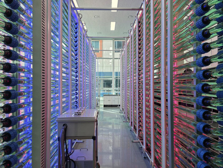 632857035_33662275370086798_2574046724176515401_n