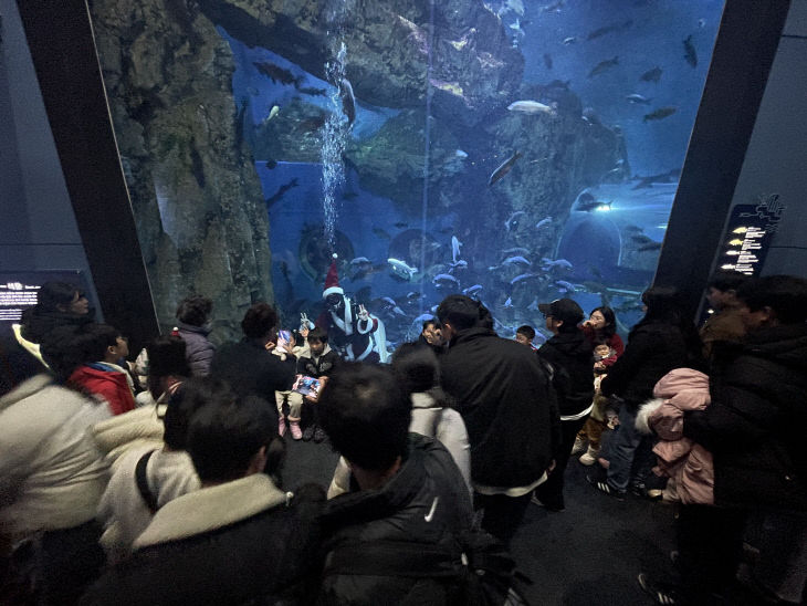 보도 1) 다누리아쿠아리움(1)