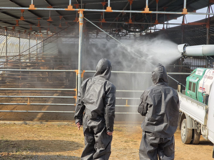 농협 설명절 가축질병 확산방지1