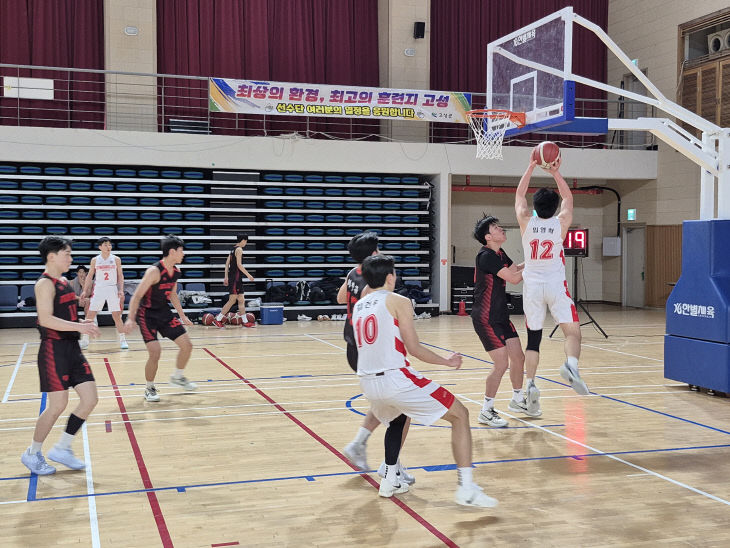 고성형 스포츠 선순환 전략