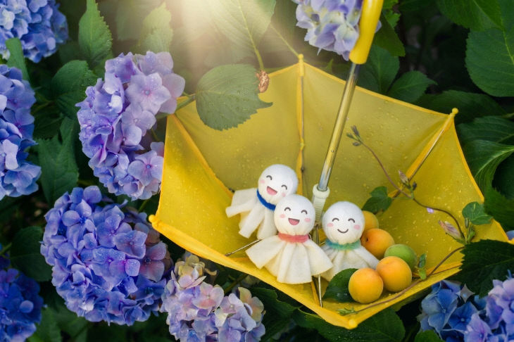 비 내리는 풍경 속에 담긴 일본의 츠유(梅雨) 문화-나오꼬