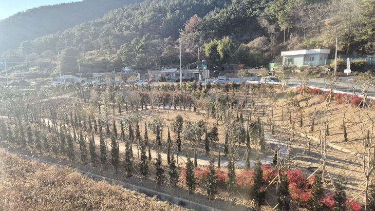 25년준공-회화면국도변