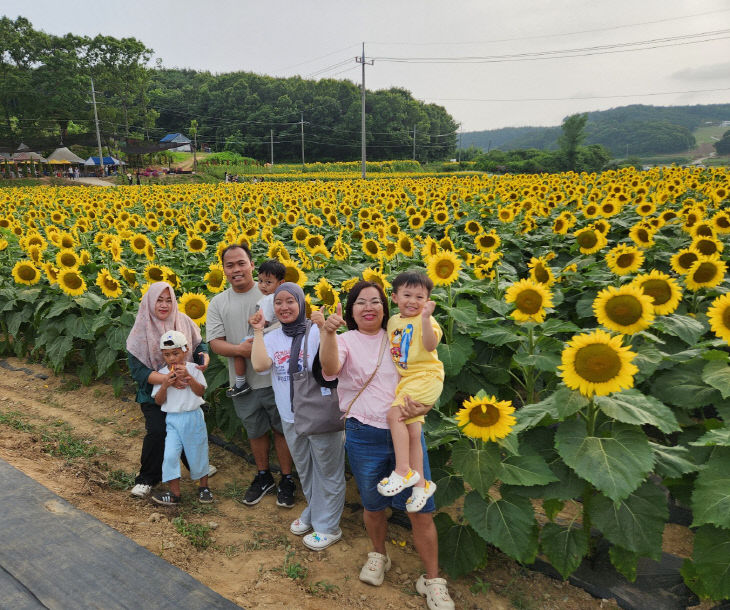 해바라기 힐링코스