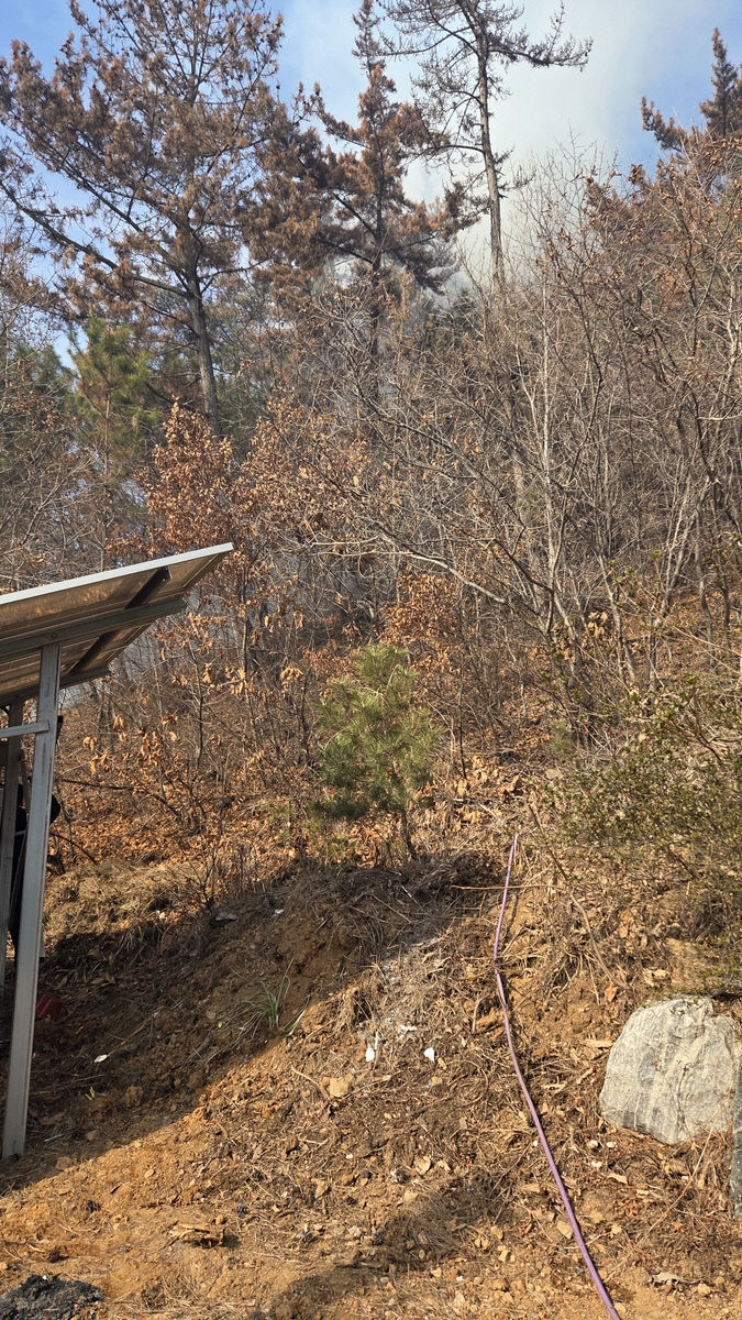 AKR20260216027400063_01_i_P4