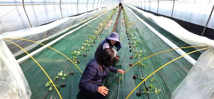 FB_IMG_1771075151697_352822678940405