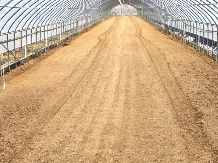 Resized_20260214_140950_390328435321306