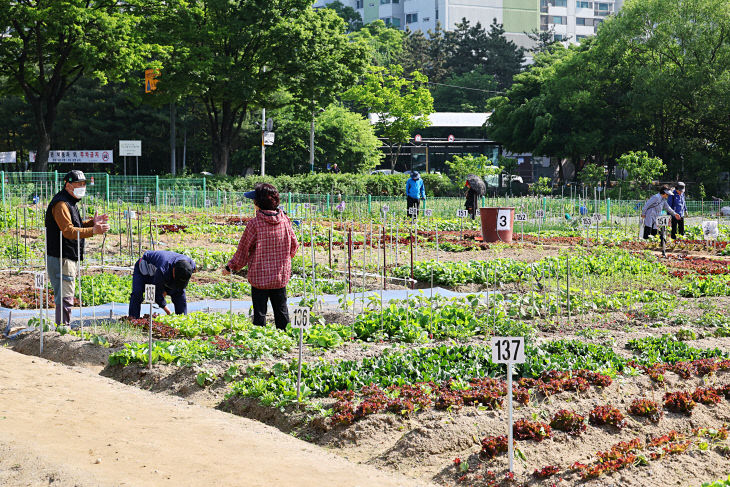 (1) 남동구, 2026년 남동 실버농장 참여자 모집(실버농장)