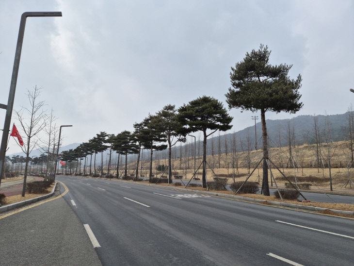 내포신도시 도청대로 일원(예산군 구간)