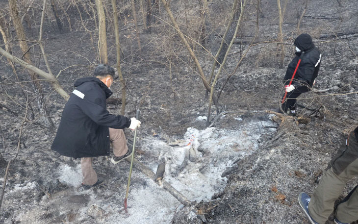 1. 21일 대산읍 대죽리 산불 진화 현장5