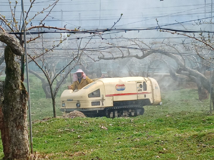 월동병해충 방제(농업기술센터)