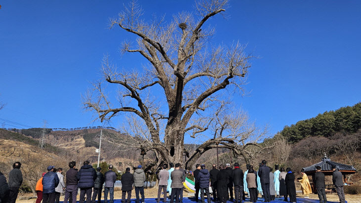 2.내산면 주암리 행단제(2) (1)