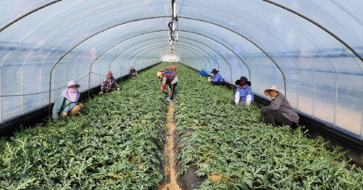 청주시, 2026년 상반기 외국인 계절근로자 421명 도입.