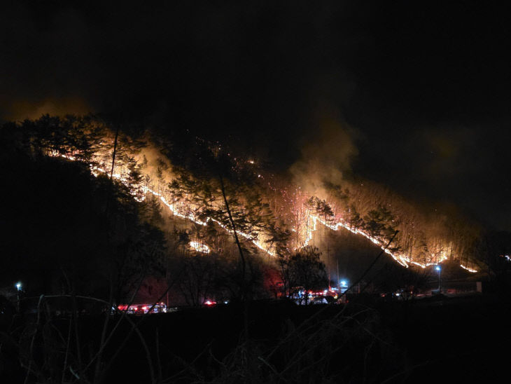 대술면 산불 사진(1)