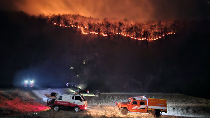 대술면 산불 사진(2)