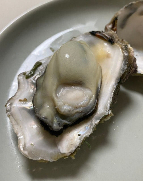 KakaoTalk_20260209_091920439