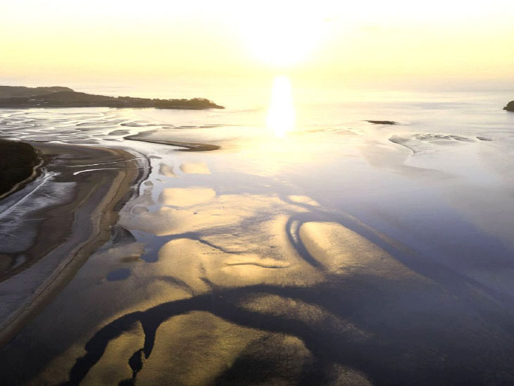 1771799019401_7431463714273601963_5022904595