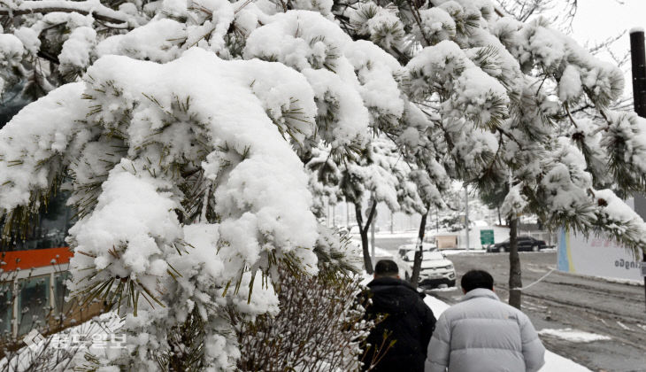 20260224-폭설4