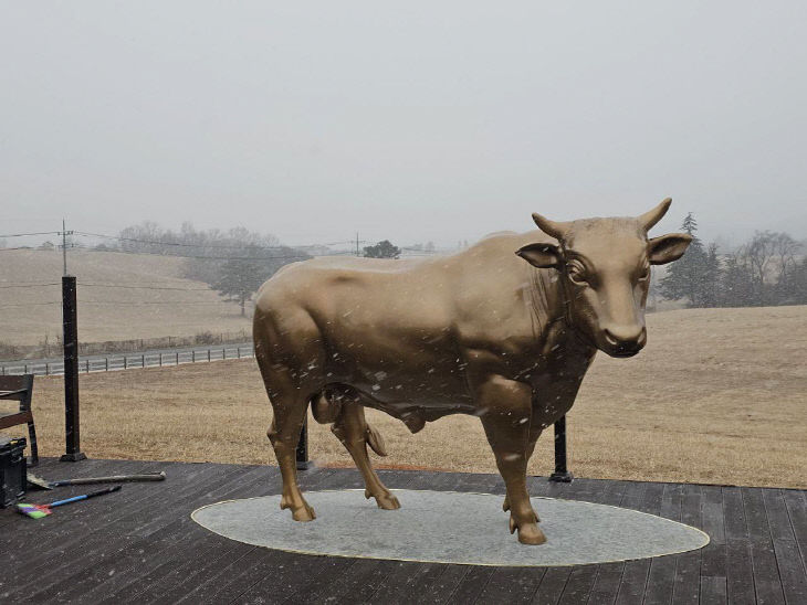 641600501_33889309990716667_118355240546347366_n