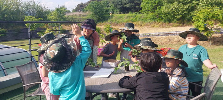 증평 정안마을 2025년 온마을배움 프로그램 사진