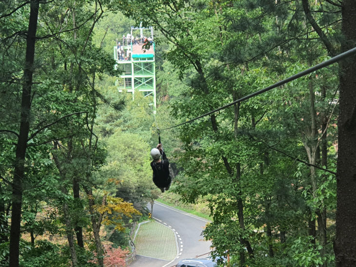 증평 좌구산 휴양랜드 짚라인