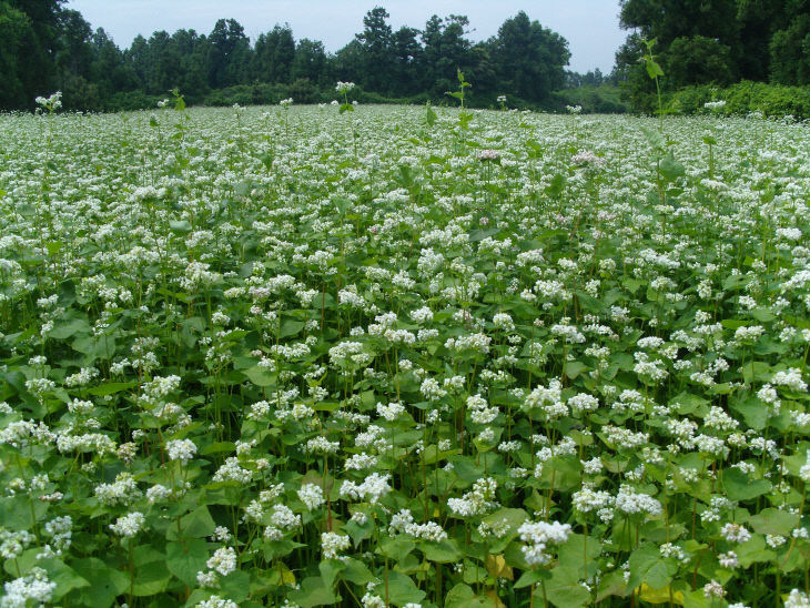 5e370b05-cddf-4b34-ab02-913b75990fed