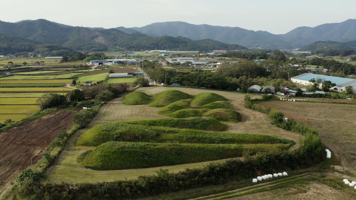 사진자료3(함평군 예덕리 고분군 모습)