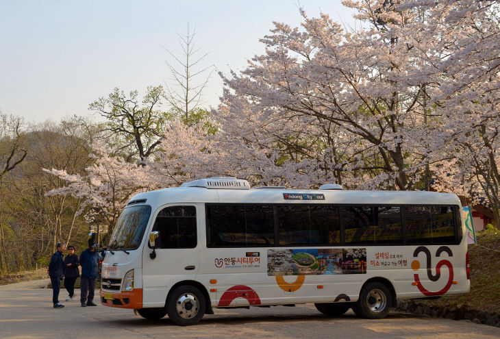 0226 안동시티투어 버스 3월부터 본격 운행 (1)