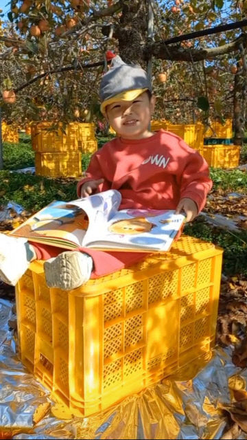기사7-사과향이 나는 예산