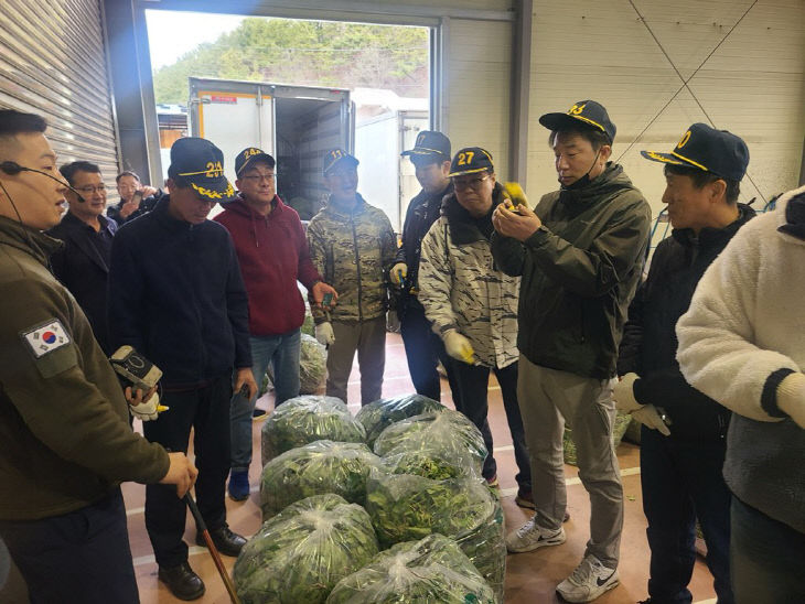 고성군, 봄 향기 가득한 제철 취나물 본격 출하