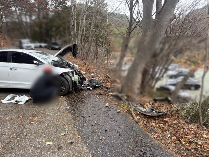 KakaoTalk_20260302_081910834