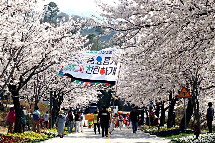 지역사랑 휴가지원_자료사진2 벚꽃축제