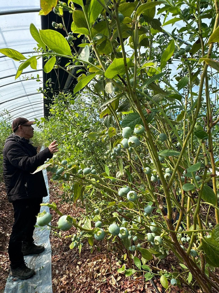 1772325931039_818955806353578